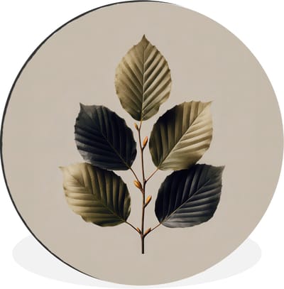 WallCircle - Wandcirkel - Muurcirkel - Beukenbladeren - Bruin - Groen - neutraal - Aluminium - Dibond - 30x30 cm - Binnen en Buiten