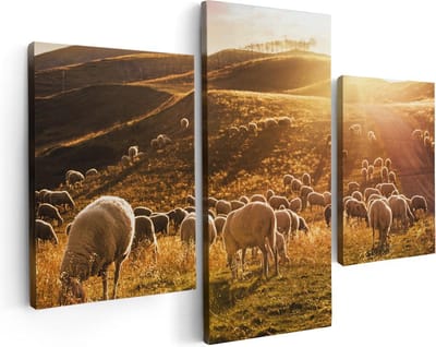 Artaza Canvas Schilderij Drieluik Schapen in de Heuvels bij Zonsondergang - 90x60 - Foto Op Canvas - Canvas Print