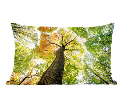 Sierkussens - Kussentjes Woonkamer - 50x30 cm - Boom - Natuur - Bos