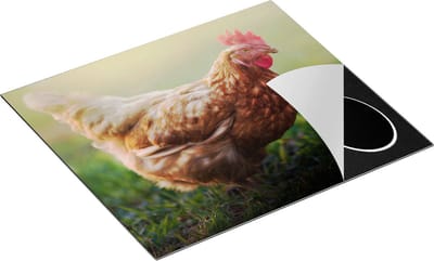 Chefcare Inductie Beschermer Kip in het Gras - 60x50 cm - Afdekplaat Inductie - Kookplaat Beschermer - Inductie Mat