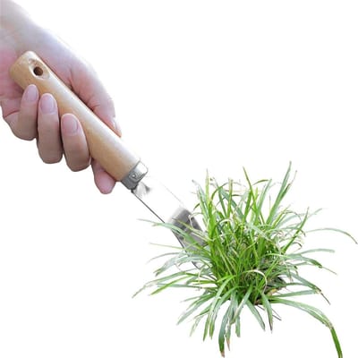 Handmatige Onkruidverwijderaar - Gras uittrekker - Gazon Onderhoud - Roestvrij Staal - 27 cm - Zilver