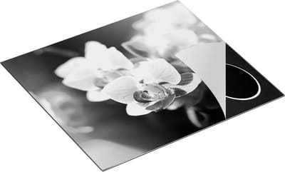 Chefcare Inductie Beschermer Paarse Orchidee Bloemen - Zwart Wit - 60x50 cm - Afdekplaat Inductie - Kookplaat Beschermer - Inductie Mat