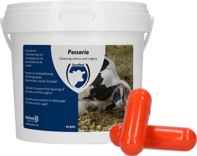 Excellent Pessaria Capsule - 12 stuks - Ter ondersteuning van de reiniging van de baarmoeder en inwendige delen van de schede - Geschikt voor rundvee, schapen en geiten