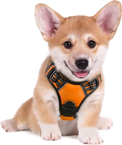 Hondenharnas, anti-trek reflecterend en ademend borstharnas, verstelbaar en zacht voor grote, middelgrote of kleine honden en puppy's