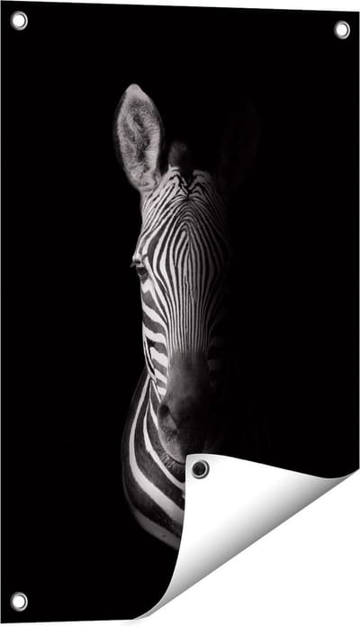 Gards Tuinposter Halve Zebra - Zwart Wit - 40x60 cm - Tuindoek - Tuindecoratie - Wanddecoratie buiten - Tuinschilderij