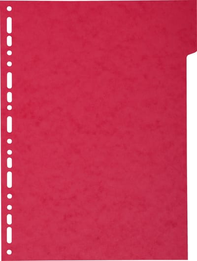 Exacompta 50x Tabbladen gerecycleerd karton 220g - 5tabs - A4 maxi - Geassorteerd - 2105E