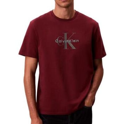 T-shirt Korte Mouw Calvin Klein Jeans Hero LV04RB862G