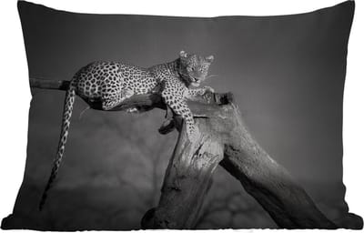 Buitenkussens - Tuin - Panter - Boom - Dieren - Zwart - Wit - 50x30 cm