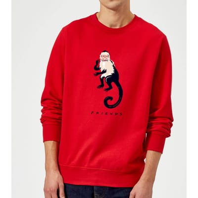 Friends Marcel The Monkey trui - Rood - S