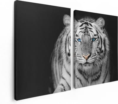 Artaza Canvas Schilderij Tweeluik Tijger Met Blauwe Ogen - Zwart Wit - 120x80 - Foto Op Canvas - Canvas Print