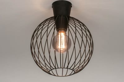 Lumidora Plafondlamp 73632 - Plafonniere - E27 - Zwart - Metaal - ⌀ 30 cm
