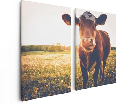Artaza Canvas Schilderij Tweeluik Koe In De Wei Tijdens Zonsondergang - 80x60 - Foto Op Canvas - Canvas Print