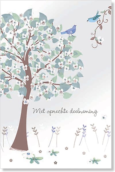 MGPcards - 6 Luxe dubbele wenskaarten - Deelneming - Foliedruk - FSC-keurmerk - 11,5 x 17 cm