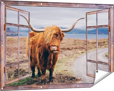 Gards Tuinposter Doorkijk Schotse Hooglander Koe op de Weg - 120x80 cm - Tuindoek - Tuindecoratie - Wanddecoratie buiten - Tuinschilderij