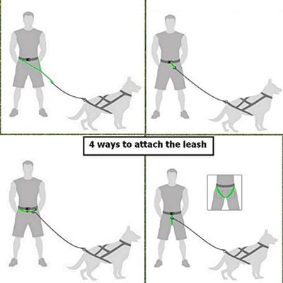 Multifunctionele Canicross en Joggingriem voor Honden - Perfect voor Actieve Hondenliefhebbers