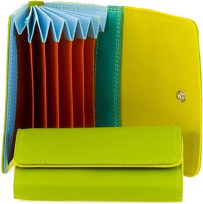 MyWalit - Fan Credit Card Holder - Bombay Lime Multi