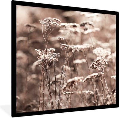 Fotolijst incl. Poster - Planten - Bloemen - Winter - Sneeuw - Sepia - 40x40 cm - Posterlijst