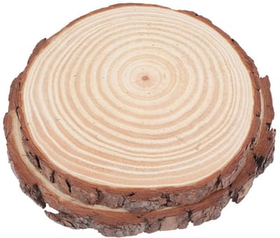 Houten Tuinpad Stenen - Decoratieve Stenen - Tuin Decoratie - Weerbestendig Hout - 25 x 25 x 2 cm - Beige