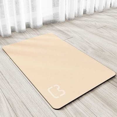 Tapis de gamelle simple pour animaux de compagnie Tapis d'alimentation lavable à plusieurs reprises Tapis pour chat et chien Tapis absorbant l'humidité Antidérapant Tapis de repos et de sommeil Tapis d'entraînement pour animaux de compagnie 40 * 60cm