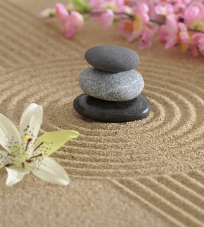 Fotobehang - Zen Garden 225x250cm - Vliesbehang