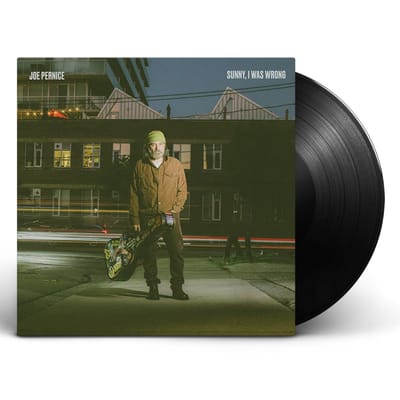 Sunny, I Was Wrong - Joe Pernice