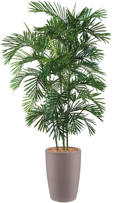 HTT - Kunstplant Areca palm in Genesis rond taupe H190 cm