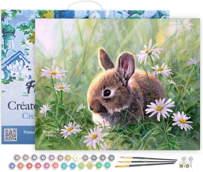 Figured'Art Schilderen op Nummer Volwassenen met lijst - Konijn en margrieten - Handwerk acrylverf Kit DIY Compleet - 40x50cm Canvas al ingelijst