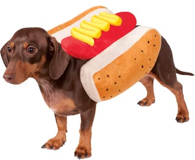 carmdering - Hotdog Kostuum - Hondenkostuum - Huisdier Verkleedpak - Zacht, ademend, klittenbandsluiting, reflecterend, maat M - Voor Halloween & Kerst - Grappig hondenoutfit