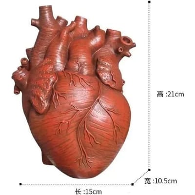 Hart Vaas Droge Pot Kunst Vaas Menselijk Standbeeld Container Gesimuleerde Anatomie Hart Vaas Decoratief Cadeau Valentijnsdag Cadeau brown