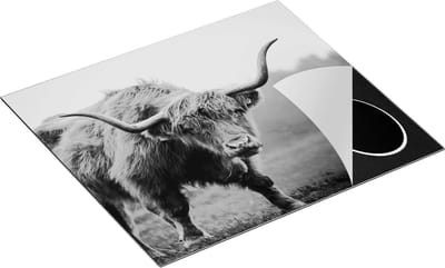 Chefcare Inductie Beschermer Schotse Hooglander met Hoorns - Zwart Wit - 60x50 cm - Afdekplaat Inductie - Kookplaat Beschermer - Inductie Mat