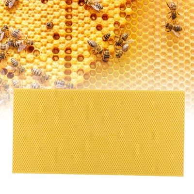 Plastic Bijenkarkas met Wafelraam Bijenteeltgereedschap (Geel) geel