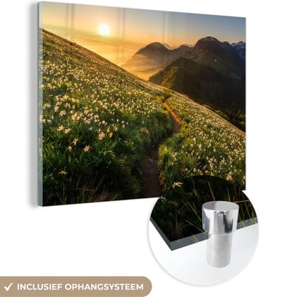 MuchoWow® Glasschilderij 40x30 cm - Schilderij acrylglas - Bloemen - Zon - Bergen - Foto op glas - Schilderijen