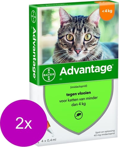 Advantage 40 Kat 4 pip - Anti vlooienmiddel - 2 x 0.4 ml - 0 - 4 Kg