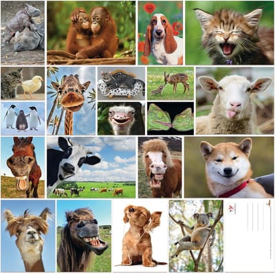 SnelShoppen - 20 Grappige Ansichtkaarten met Coole Dieren voor Verzamelaars en Postcrossing - Perfecte Cadeaus voor Dierenliefhebbers, Feesten en Crea