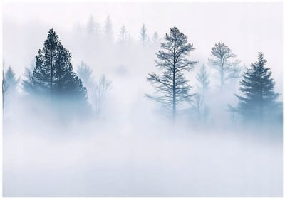 WALLARENA - Fotobehang - 150x105 cm - Fototapete van een bos in de mist met bomen, geschikt voor slaapkamer en salon, vliesbehang