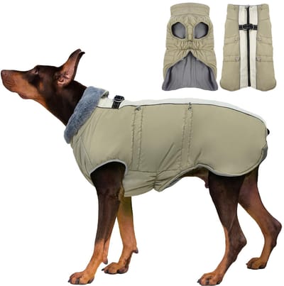 Unyqoos ® Stijlvolle Waterbestendige Hondenjas met Reflecterende Buikbescherming voor Grote Honden en Labrador