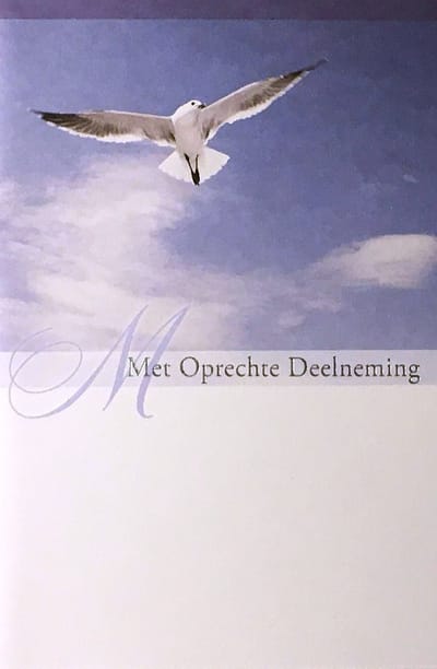 Luxe Wenskaart Deelneming - Condoleance - Overlijden - Oprechte Deelneming - Art of Cards - 11,5x17cm - Dubbele Kaart - Met Envelop - Luxe Wens Kaart - Greeting Card - 1 Stuks - In Folie Apart Verpakt - Angel 10 - Meeuw - Gratis Verzonden