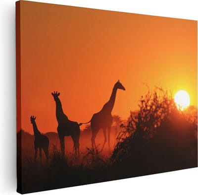 Artaza Canvas Schilderij Zonsondergang - 40x30 cm - Klein - Wanddecoratie Giraffe - Muurdecoratie Afrikaans - Schilderijen Op Canvas