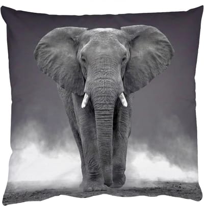 Sierkussens - Kussentjes Woonkamer - 50x50 cm - Olifant - Zwart - Wit - Rook