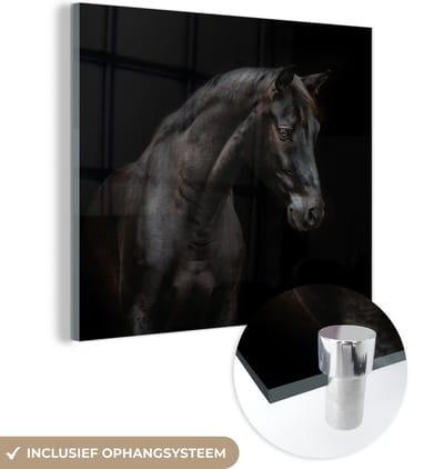 MuchoWow® Glasschilderij 50x50 cm - Schilderij acrylglas - Paard - Dier - Zwart - Foto op glas - Schilderijen