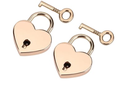 Dailygoody - Hartvormige Hangslot - Love Locks - Mooi Design - Valentijnsdag Cadeau - Beveiliging - Sleutelhanger - Geschikt voor Luggage