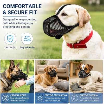 Ademend en Verstelbaar Hondenmuilkorf voor Kleine, Middelgrote en Grote Honden - Bescherming tegen Voedsel, Reflecterend en Comfortabel Mesh Design