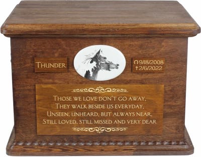 Persoonlijke urn voor American Paint Horse - foto en grote opbergdoos