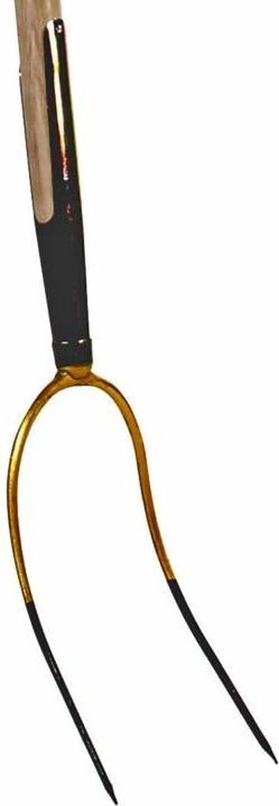 Talen Tools - Hooivork - Tweetand - Zonder steel