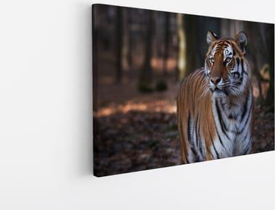 Saammp Canvas Schilderij - Tijger in het bos - Natuur - Dieren - 30x20 - Foto op canvas - Wanddecoratie - muurdecoratie Woonkamer - Slaapkamer decoratie - Canvas Print