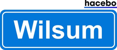 Hacebo - Plaatsnaam Sticker - 29x10 CM - Wilsum sticker - Verkeersborden sticker - grappige cadeaus - Wilsum