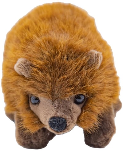 Cute since 1999 - Knuffel Egel - Staande Egel Speelgoed- Baby knuffel - 16cm