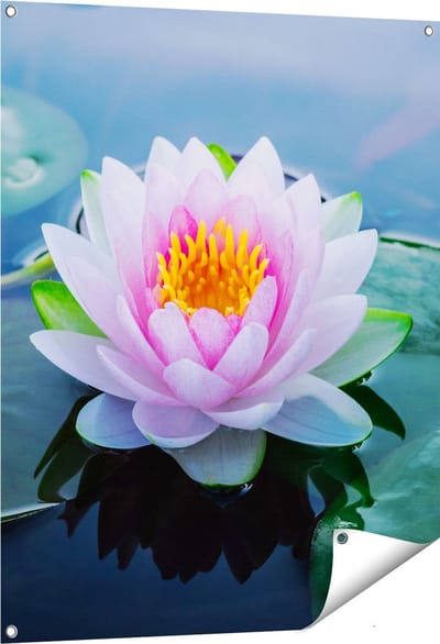 Gards Tuinposter Roze Lotusbloem met Waterlelies - 80x100 cm - Tuindoek - Tuindecoratie - Wanddecoratie buiten - Tuinschilderij