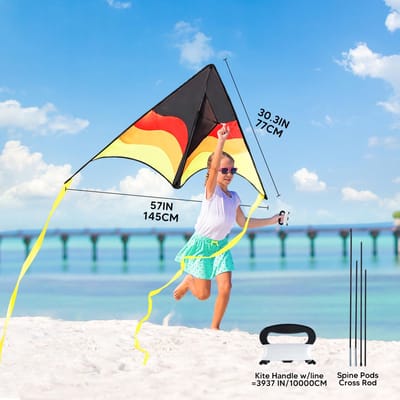 Dailygoods - Grote Delta Vlieger met Kleurverloop - Enorme Strandvlieger voor Kinderen en Volwassenen