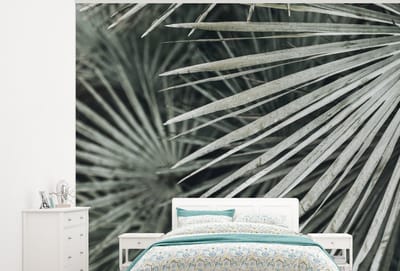Behang - Fotobehang Bladeren - Groen - Palm - Breedte 300 cm x hoogte 240 cm